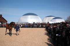 Darley Annual Event, 3 Airstar Domes (700 people), Sapporo, Japan